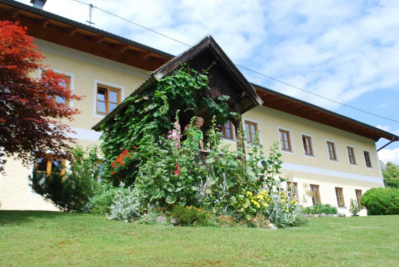 Villa Bauernhof "Unteres Feld" Altmünster Exterior foto